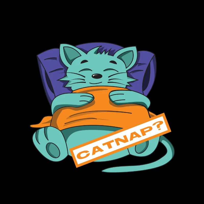 Lit de chat pour lit de chat