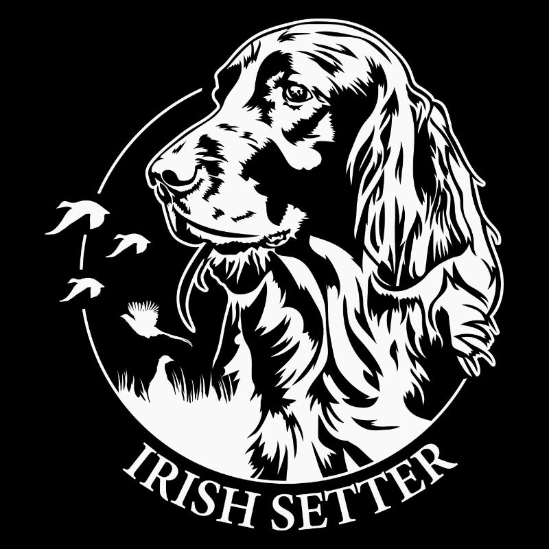 Irish Setter Jagdhund Jagdhunde Hunde Wilsigns