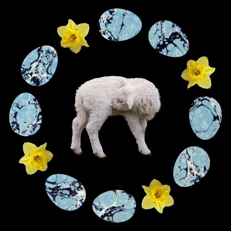 sheep in the egg wreath with narcissus e 55
