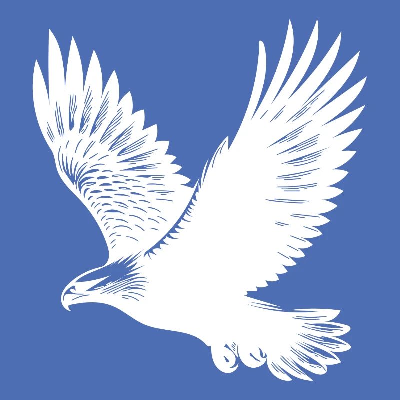 Elegant eagle on huge wings
