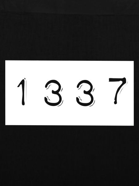1337 Cs:Go Shirt, super Geschenkidee
