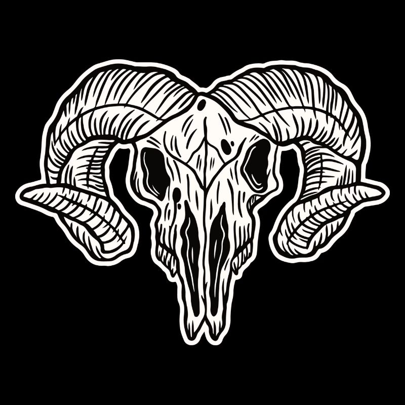 Skull Skeleton Skull Horror Halloween Gift
