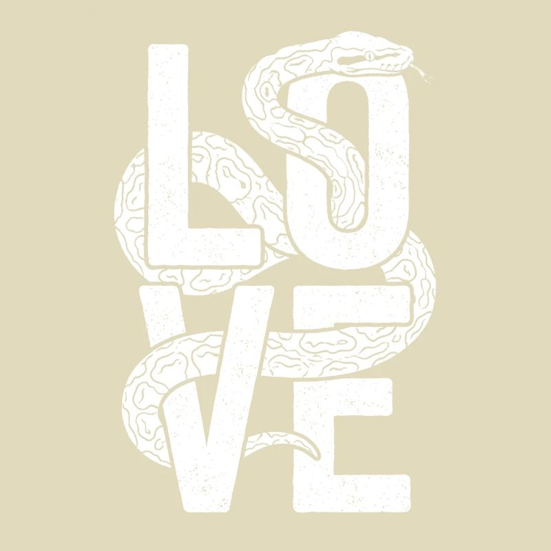 Königspython Schlangen LOVE Terrarium Python