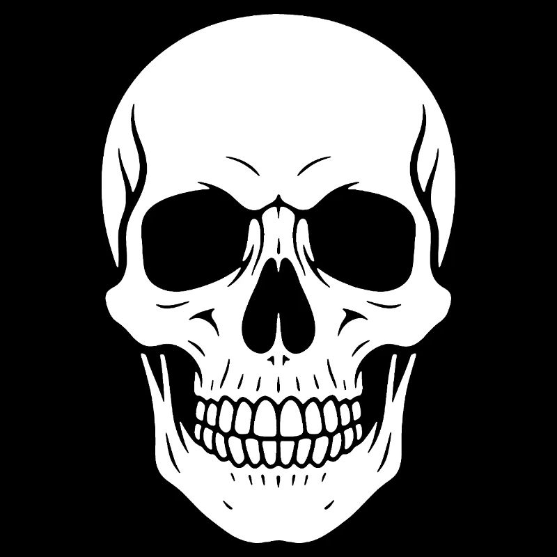 Skull Silhouette Graphic