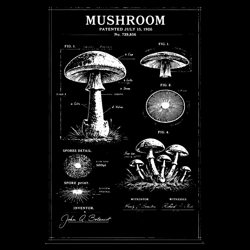 Art botanique de plans champignons