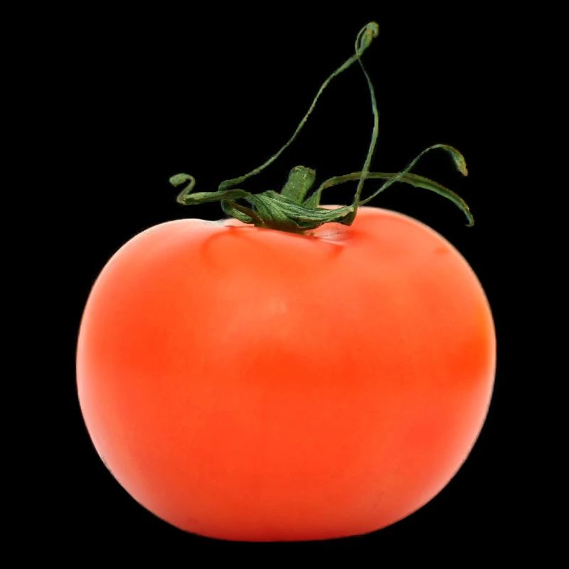 tomate