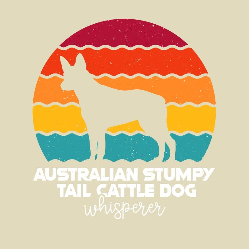Australian Stumpy Tail Cattle Dog