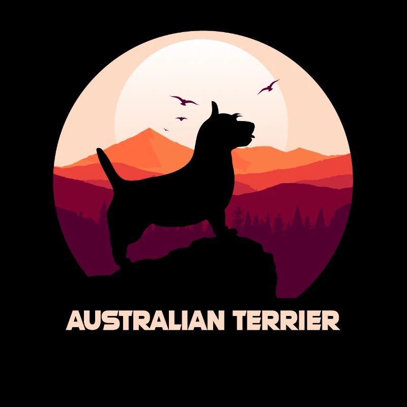 Australian Terrier - Australian Terrier Hund