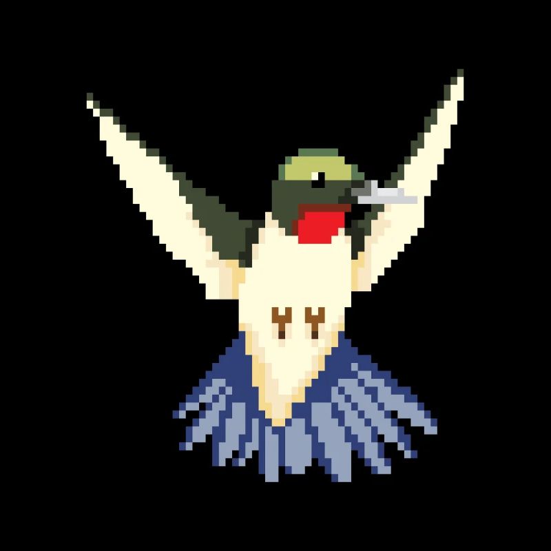 Kolibri Seglervögel Vögel Vogel Tier Geschenk