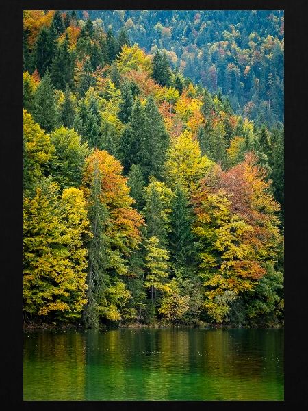 Herbstbäume am Eibsee in Bayern