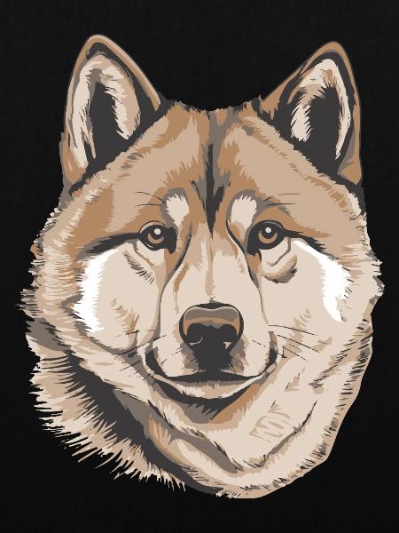 Akita