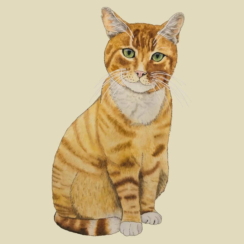 rote Katze sitzend