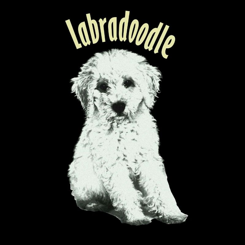labradoodle
