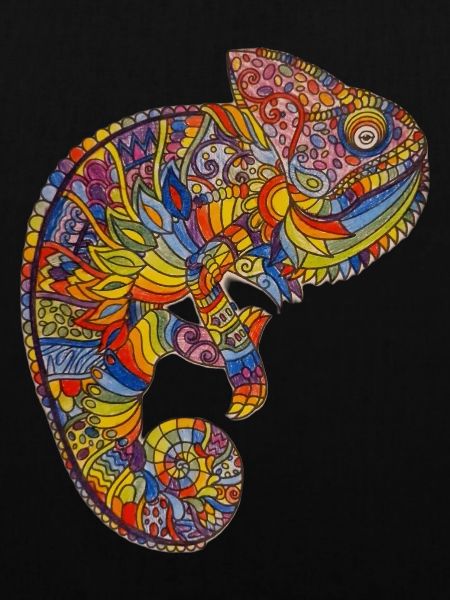 Colourful Chameleon