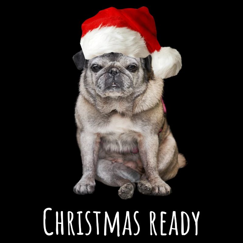 Angry Pug Christmas Ready