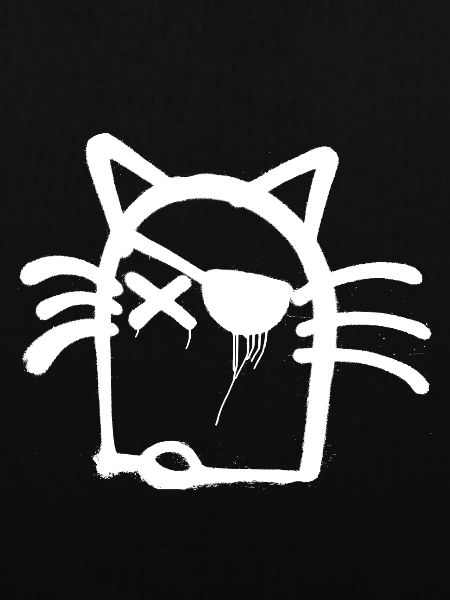 Coole Katze Sonja