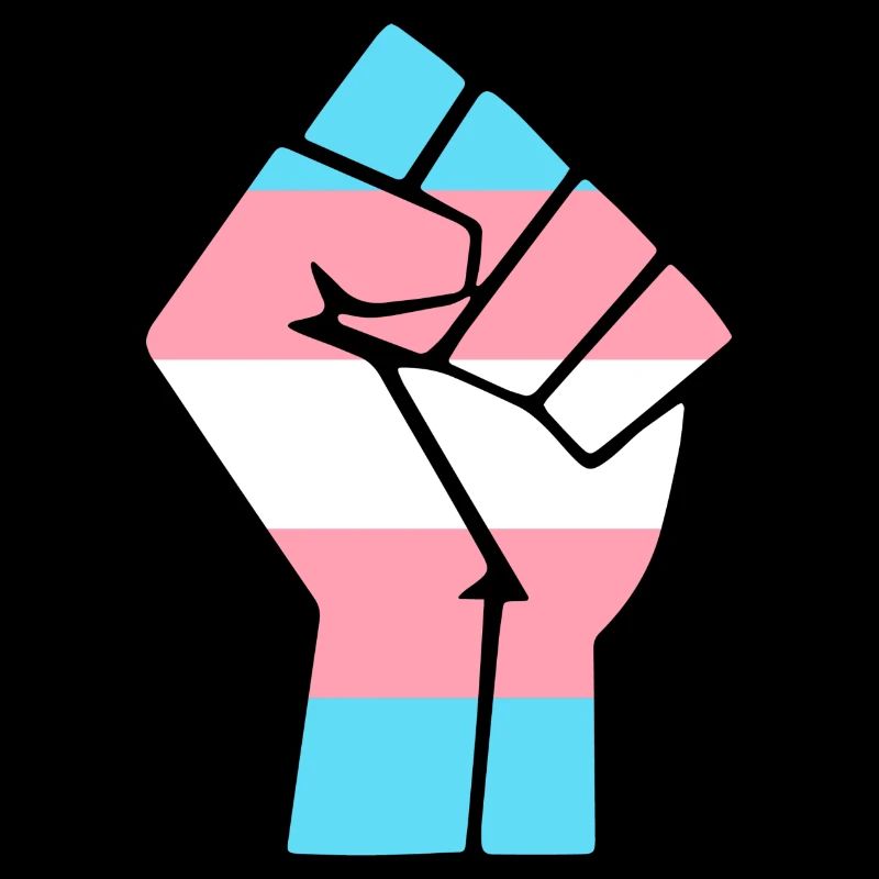 Trans Pride Fist Design for Equality