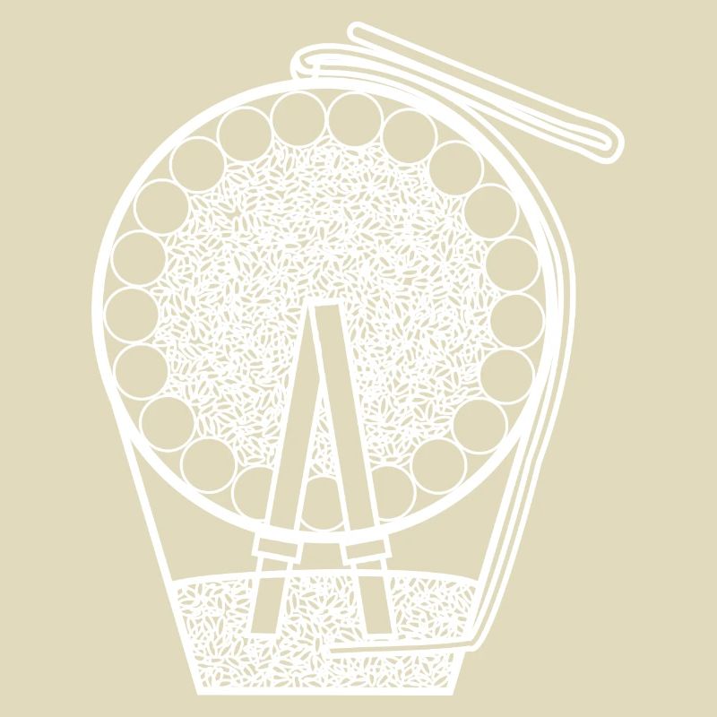 Pyrotechnics Fireworks Shell