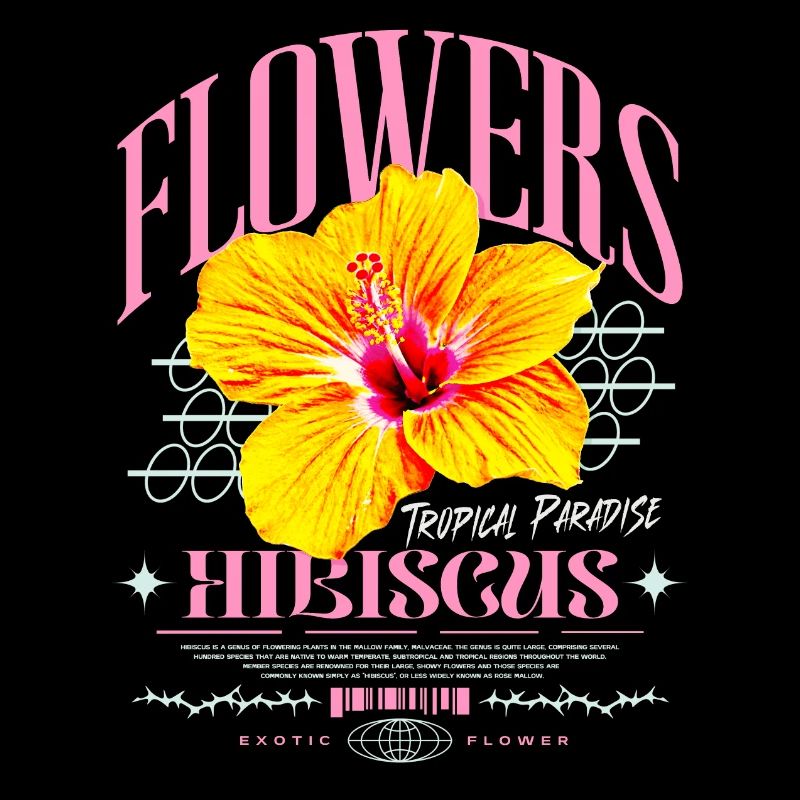 Fleur d’hibiscus Fleur d’hibiscus