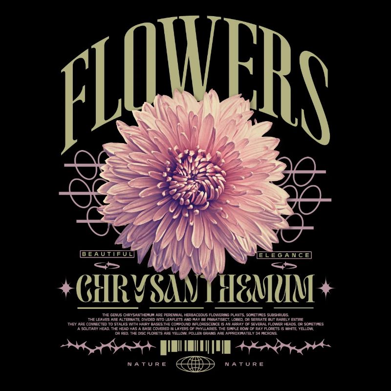 Chrysanthème Fleurs de chrysanthème