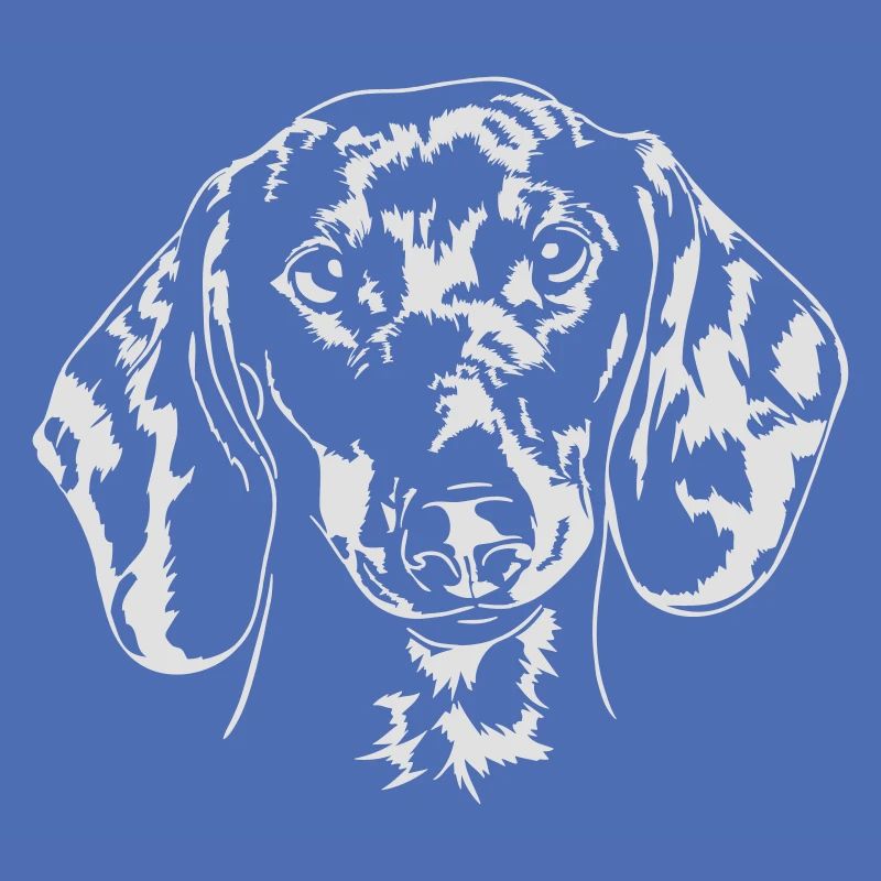 Teckel Teckel Les chiens de Teckel Wilsign