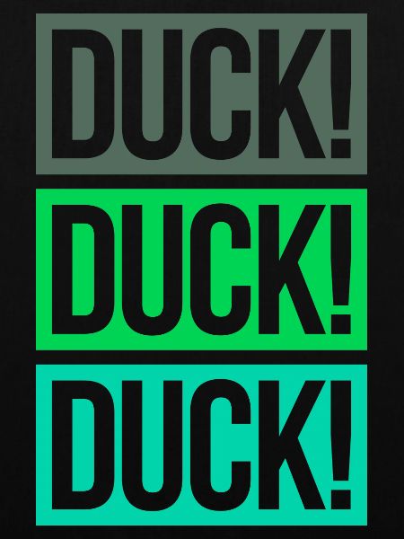 Duck