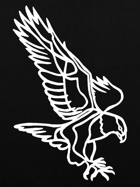 White Eagle in Flight