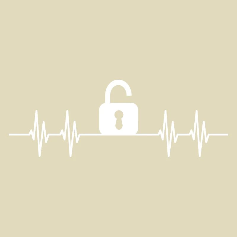 Lock Picker Lockpicking