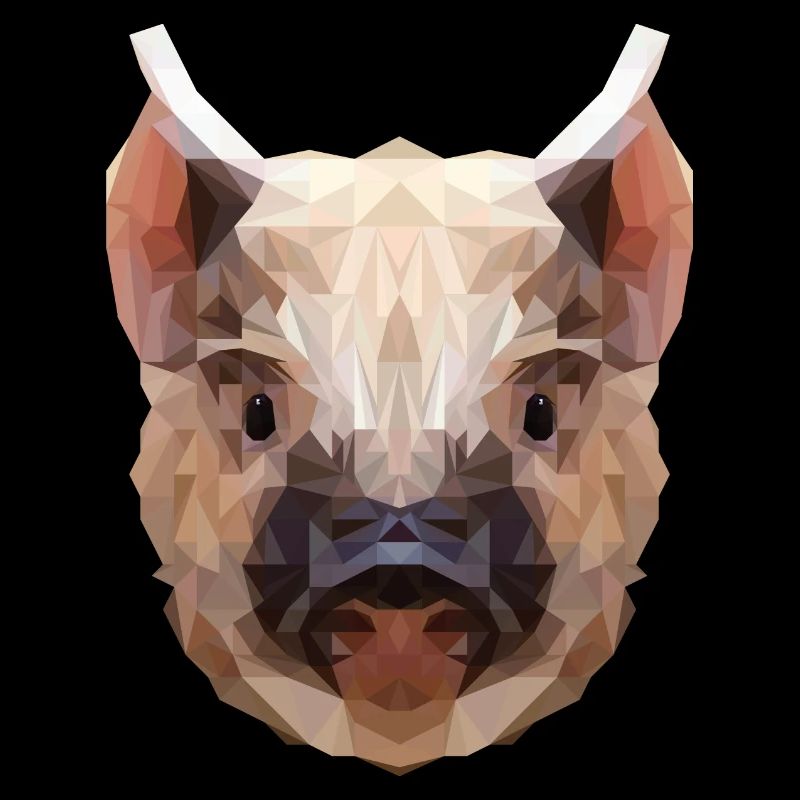 Polygone cochon
