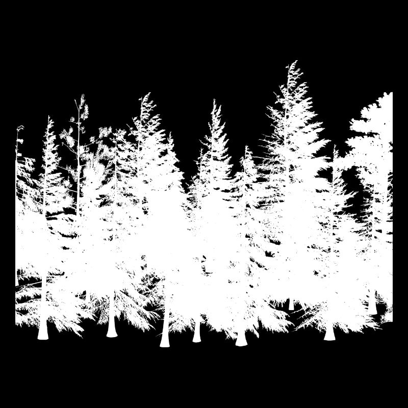 Forest Outline