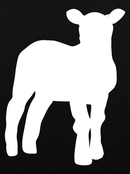 lamb