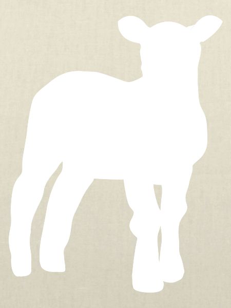 lamb