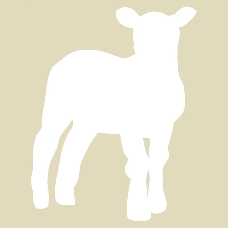 Lamm