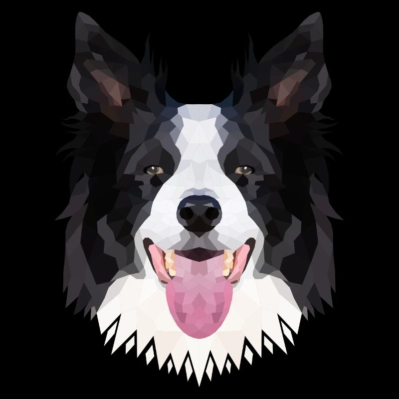 Polyart Border Collie
