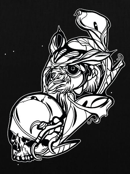 Eule mit Schädel // Illustration