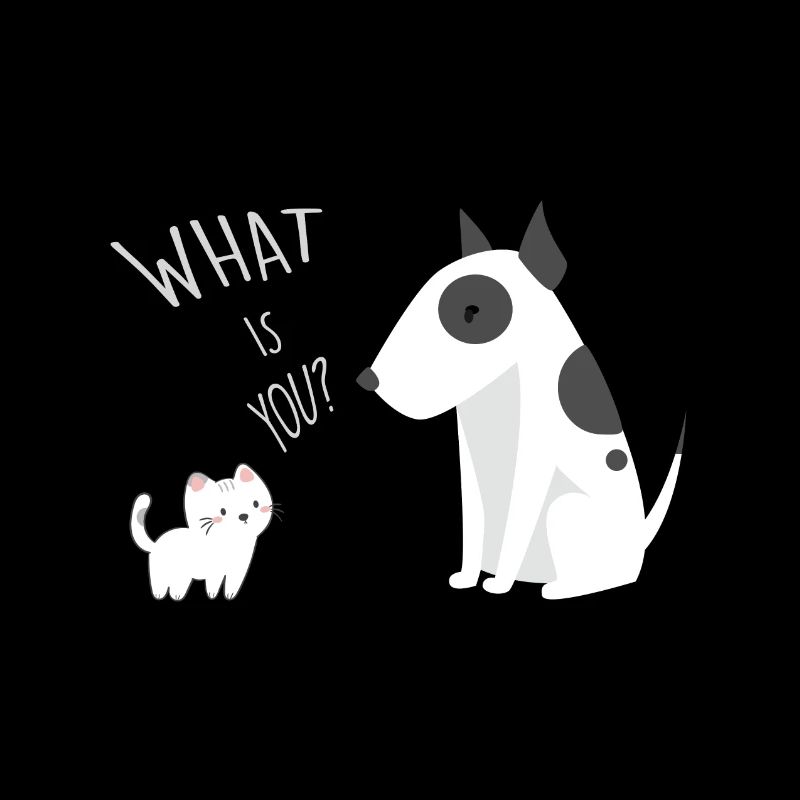 CAT & DOG