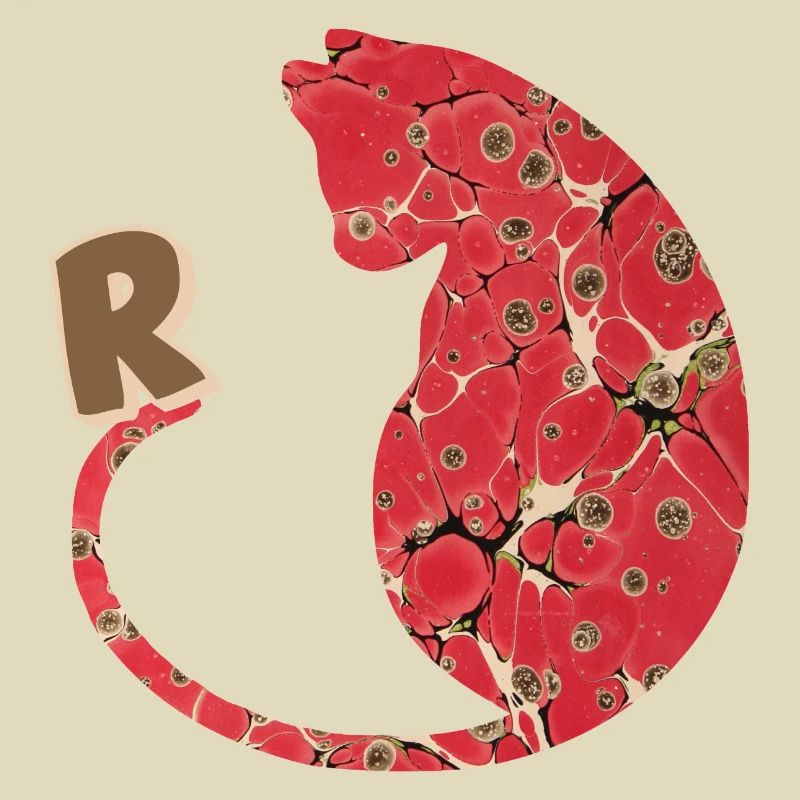 buchstabe r mit katze e 245