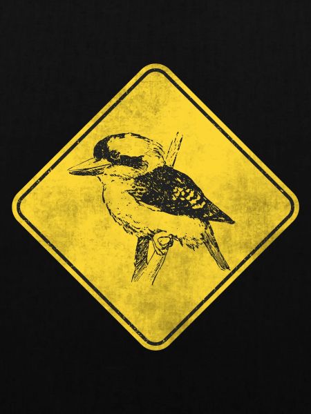 Kookaburra