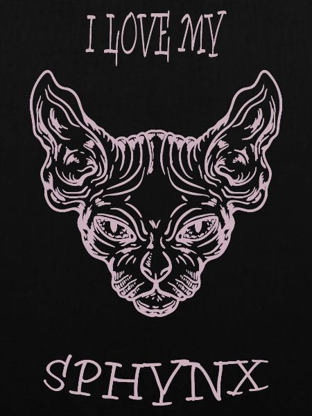 Nacktkatze Sphynx Katze
