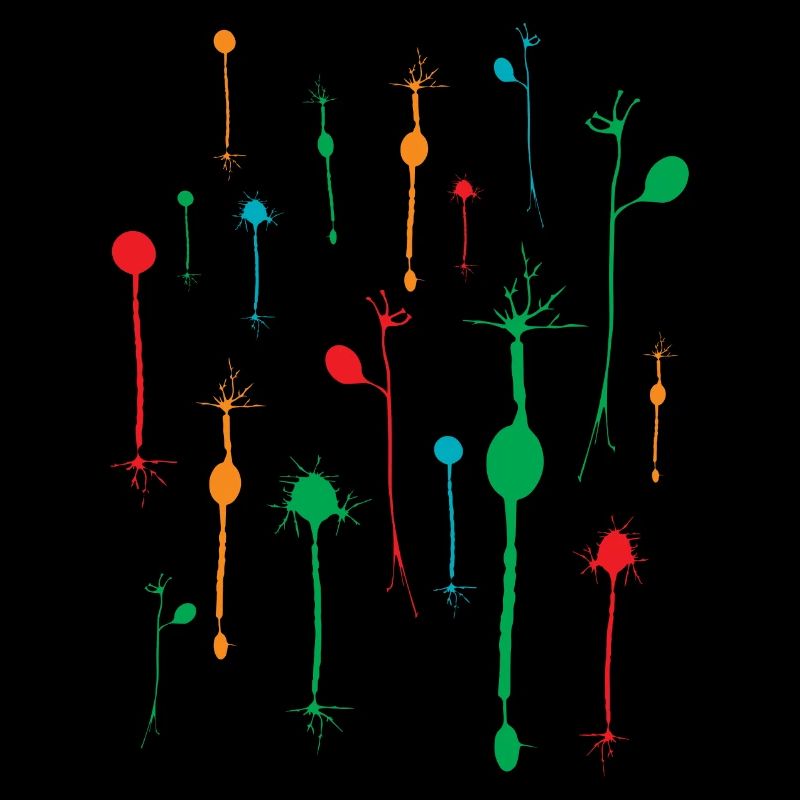 Neuronen Tetrade