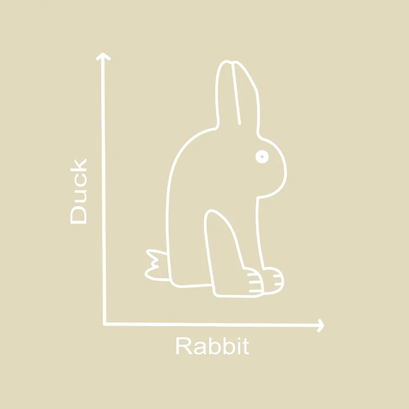 LAPIN DE CANARD - Canard lapin - Leçon de graphique
