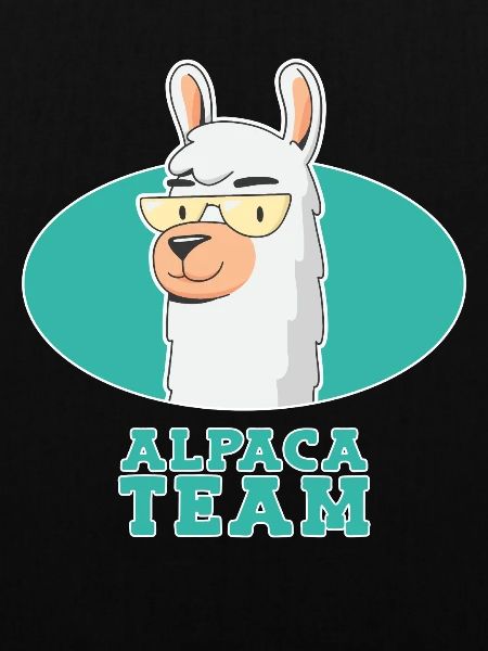 Alpaca Team Alpaka