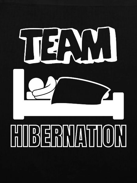 Team Winterschlaf im Bett