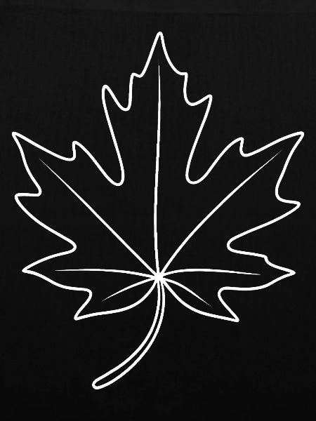 Maple Leaf Contour Design