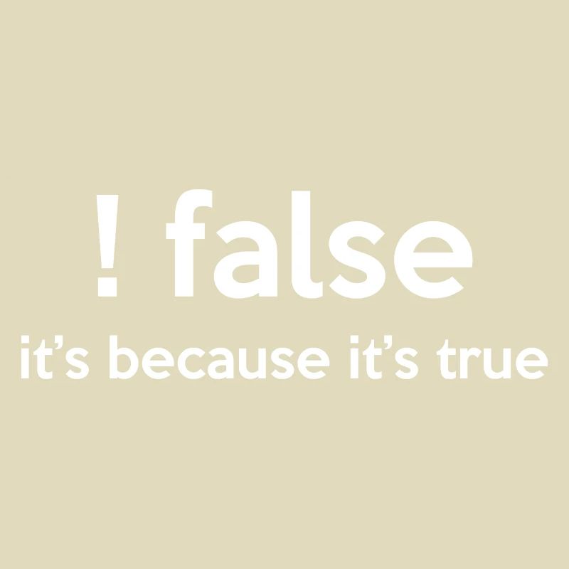 False It's Funny Because It's True Programmer Comp