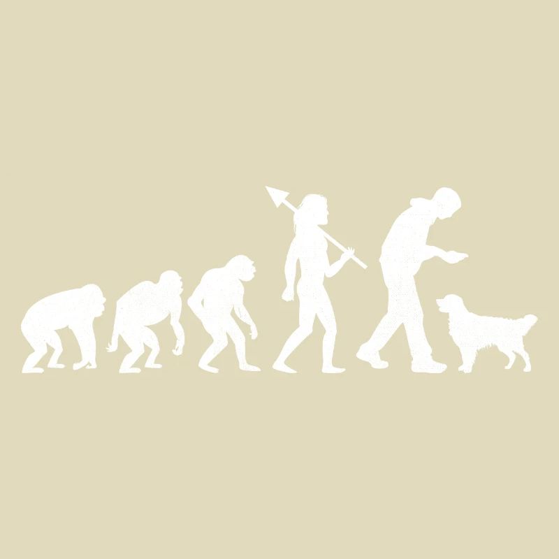 Evolution Golden Retriever GR Dog Retrievers