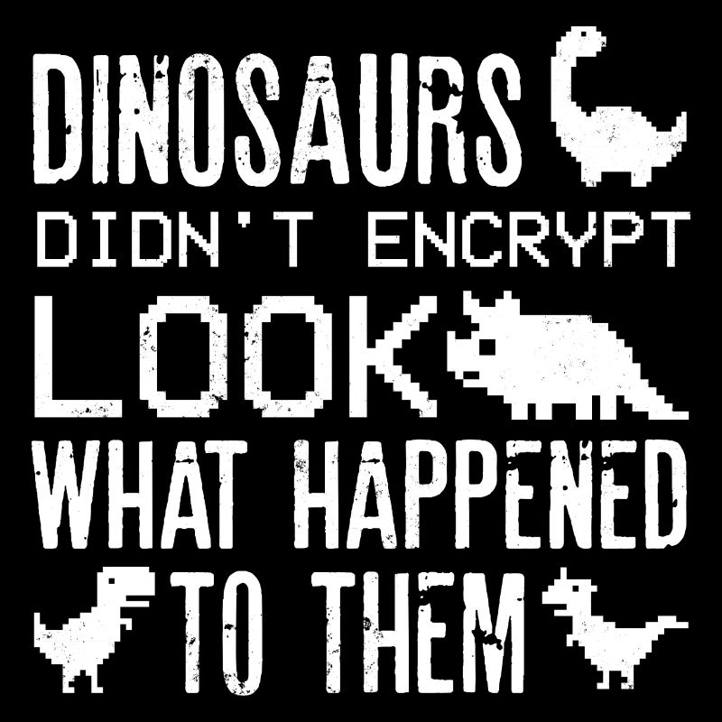 Cyber Security Professional Expert Ethical Hacker