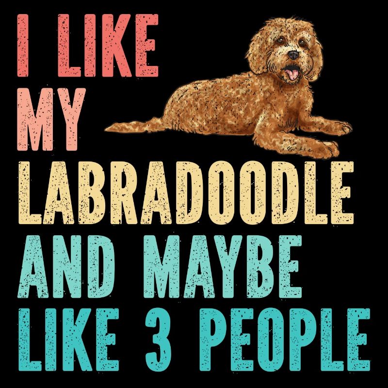Labradoodle Hund