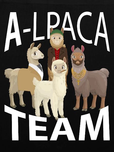 Alpakas Alpaka Team