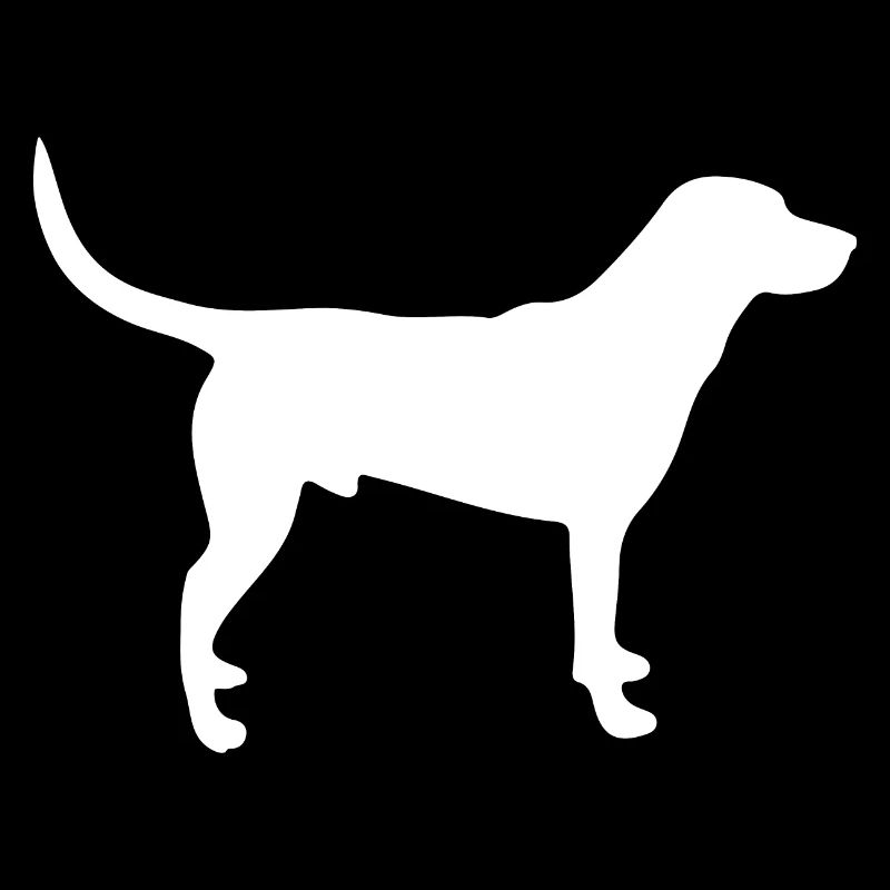 Labrador Hund white